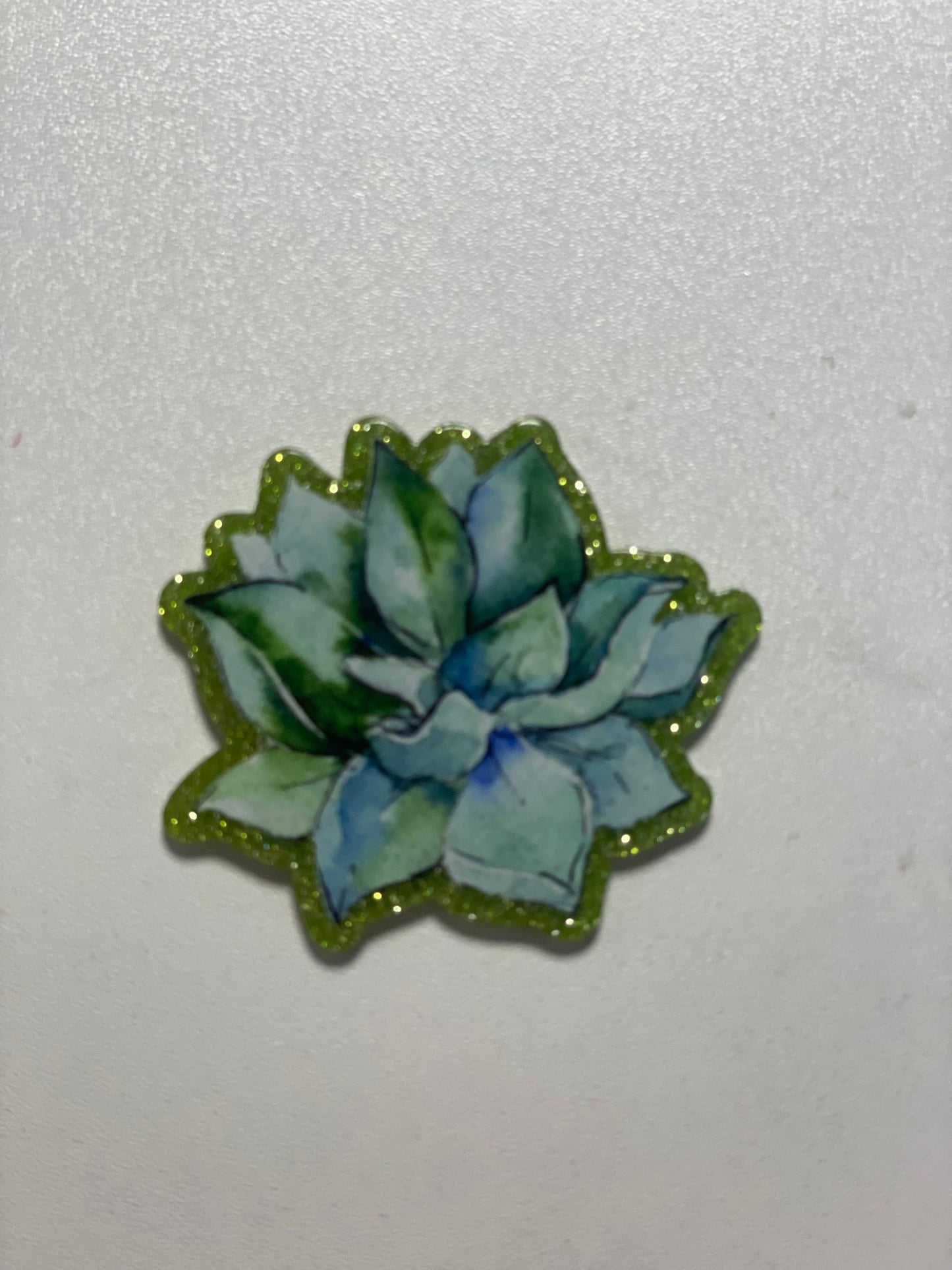 Succulent